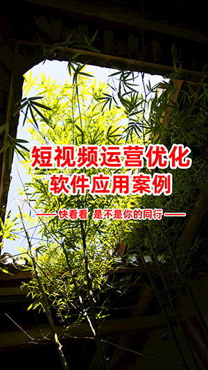 55�� 541����Ĥ�P�I�~����� ÿ��3��ԃ